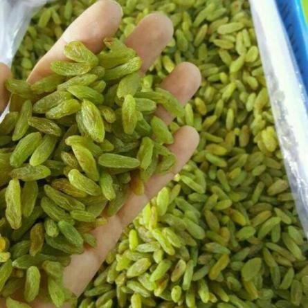 خرید انواع مویز سبز باکیفیت