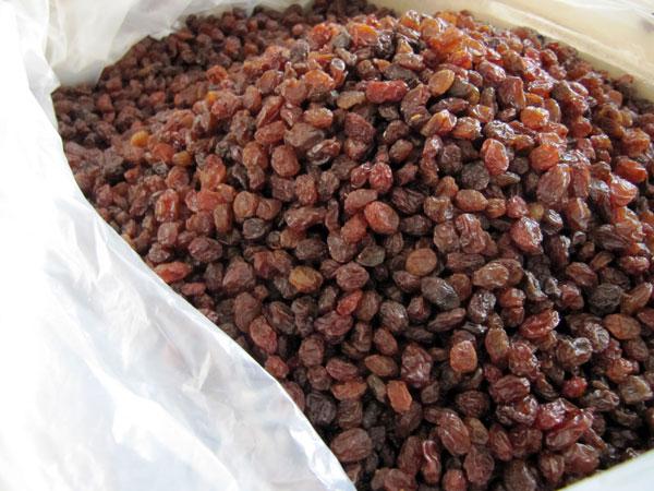 راهنمای تشخیص کشمش بیدانه