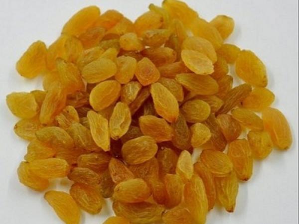 تولیدکنندگان بهترین کشمش زرد قلمی در اراک